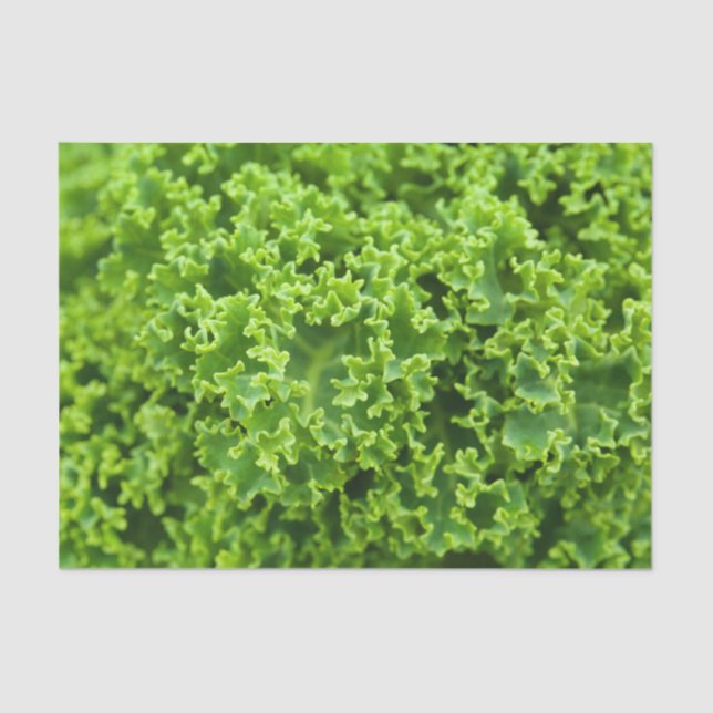 Cabbage pattern tissue paper (Front)