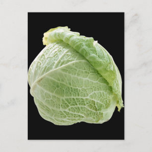 Cabbage Postcard