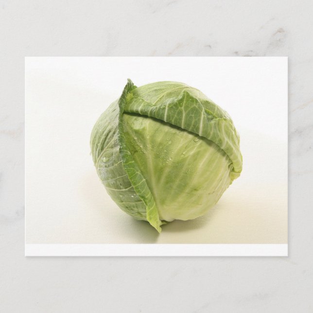 cabbage postcard (Front)