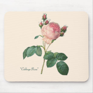 Cabbage Rose Botanical Print Mouse Pad
