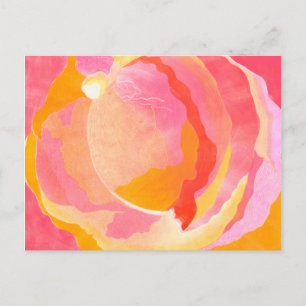 Cabbage Rose III Postcard
