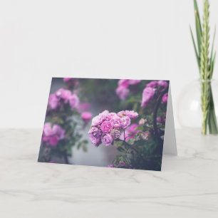 Cabbage Roses Card