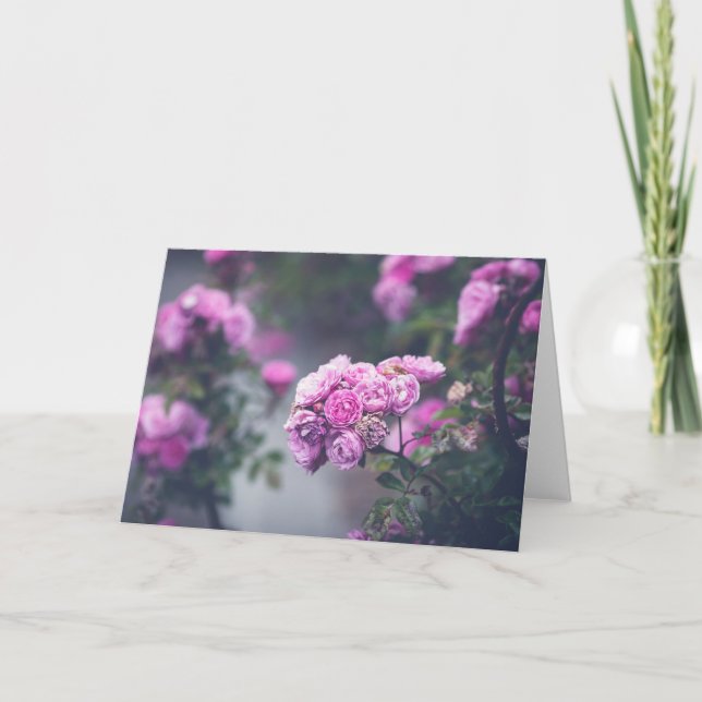 Cabbage Roses Card (Front)