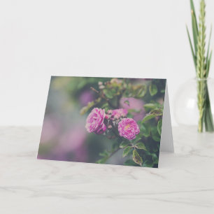 Cabbage Roses Card