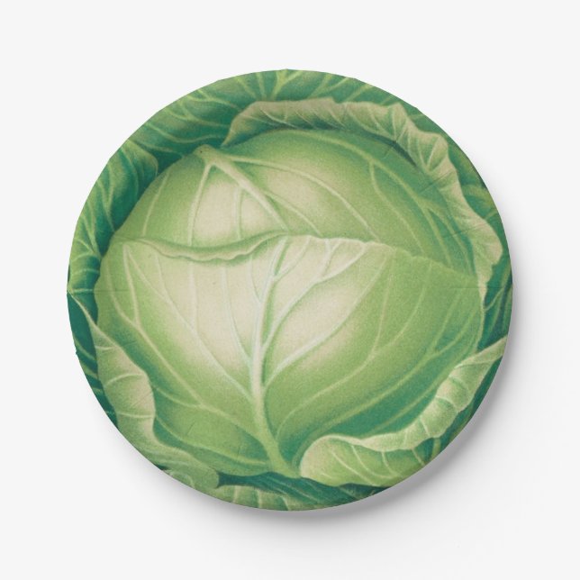 Cabbageware Paper Plates (Front)