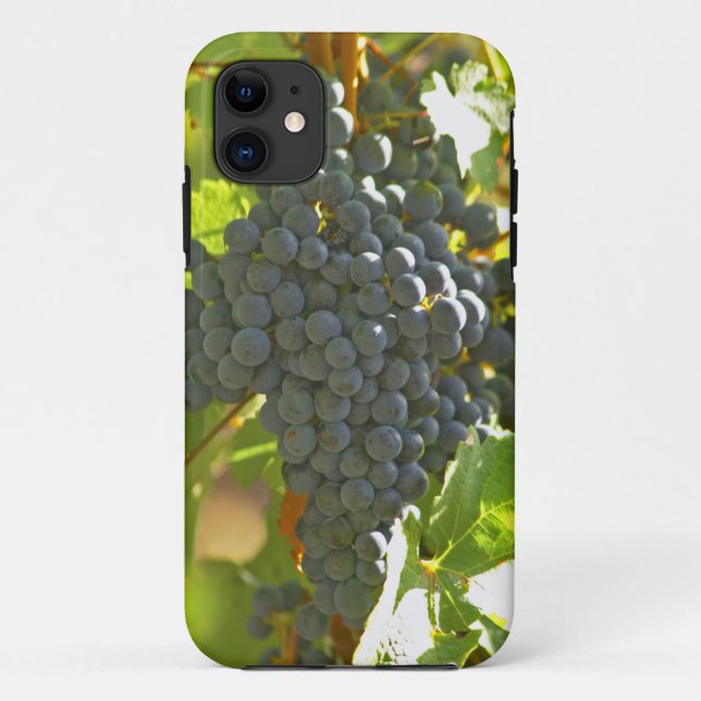 Cabernet Sauvignon grape bunch in the Chateau Case-Mate iPhone Case (Back)