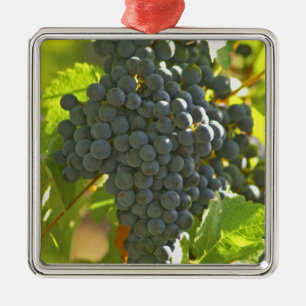 Cabernet Sauvignon grape bunch in the Chateau Metal Tree Decoration