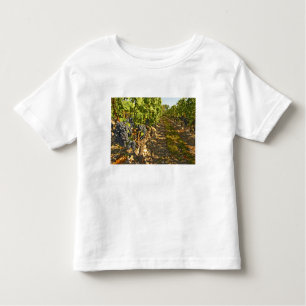 Cabernet Sauvignon vines in a row in the Toddler T-Shirt