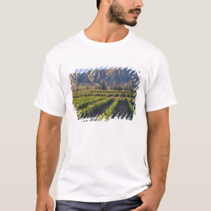 Cabernet Sauvignon vines in Huailai Rongchen T-Shirt