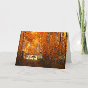 Cabin In the Aspen Kolob Utah Blank Greeting Card