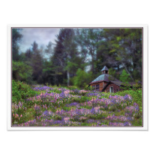 Cabin in the Lupine Digitally Initialled Open Ed P Photo Print