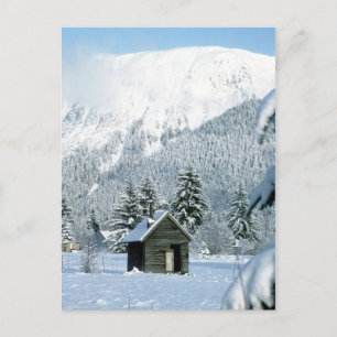 Cabin in The Snow Postcard