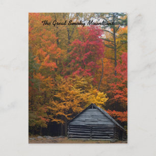 Cabin in the Woods Postcard