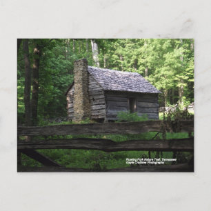 Cabin on the Roaring Fork Nature Trail Postcard