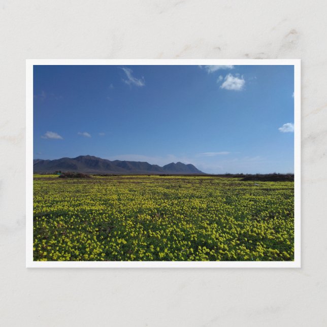 Cabo de Gata, Andalusia (Spain) Postcard (Front)