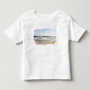 Cabo San Lucas, Baja California Sur, Mexico - Toddler T-Shirt