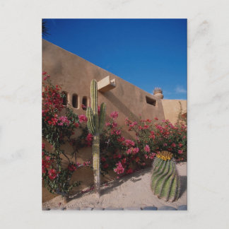 Cabo San Lucas, Baja, Mexico Postcard