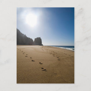 Cabo San Lucas beach 3 Postcard