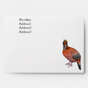 Cabot's tragopan bird cartoon illustration envelope
