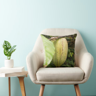 cacao pod cushion