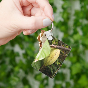 cacao pod key ring