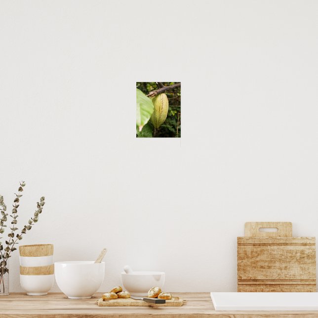 cacao pod poster (Kitchen)