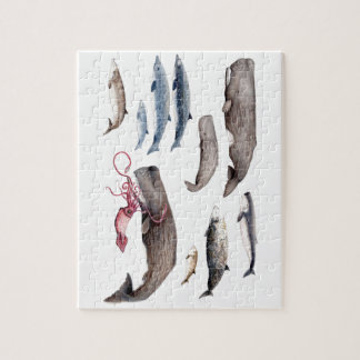 Cachalote and zifios: Whales of the depths Jigsaw Puzzle
