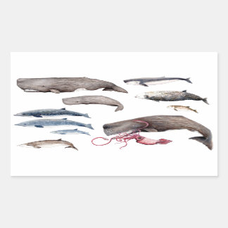 Cache and Zippers: Deep Whales Rectangular Sticker