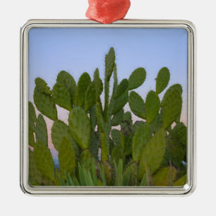 Cacti and sisal in Dry Forest Metal Tree Decoration