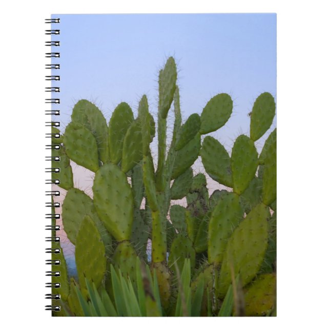 Cacti and sisal in Dry Forest Spiral Notebook (Front)