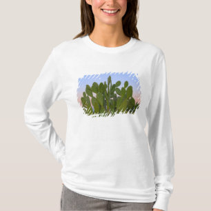 Cacti and sisal in Dry Forest T-Shirt
