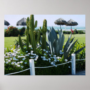 CACTI AT ROSARITO BEACH MEXICO POSTER