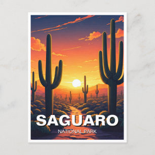 Cacti at Saguaro National Park Souvenir Postcard