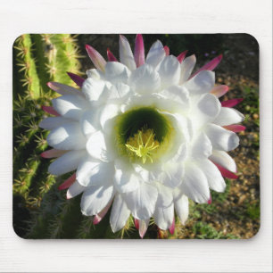 Cacti Bloom Mouse Pad