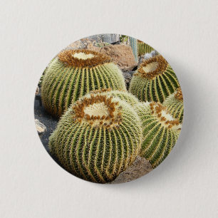 Cacti button