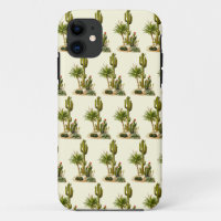 Cacti cactus desert mirage stylish chic Arizona