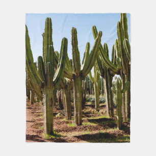 Cacti garden. Green tall cacti and succulents grow Fleece Blanket