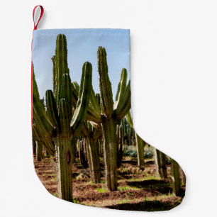 Cacti garden. Green tall cacti and succulents grow Small Christmas Stocking