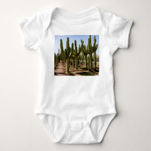 Cacti garden, tropical desert landscape. baby bodysuit