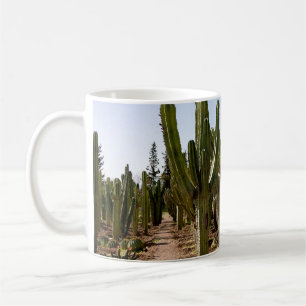 Cacti garden, tropical desert landscape. coffee mug