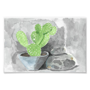 Cacti in Planter Photo Print