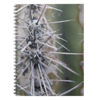 Cacti Notebook