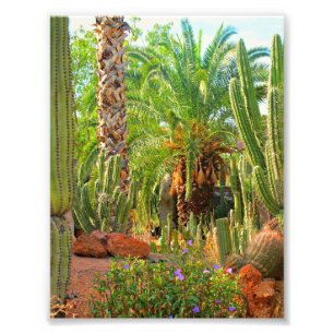 Cacti, Palms and Flowers - Photo Print (5x7)