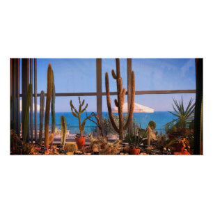 Cacti plants and sea poster
