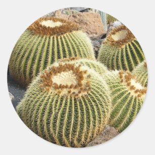 Cacti stickers