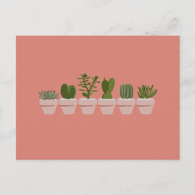 Cacti & Succulent - pink Postcard (Front)