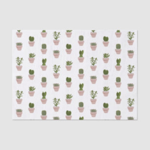Cacti & Succulent – Pink - Transparent Tissue Paper