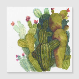 Cacti, succulents: vintage watercolor.