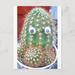 cactieye postcard