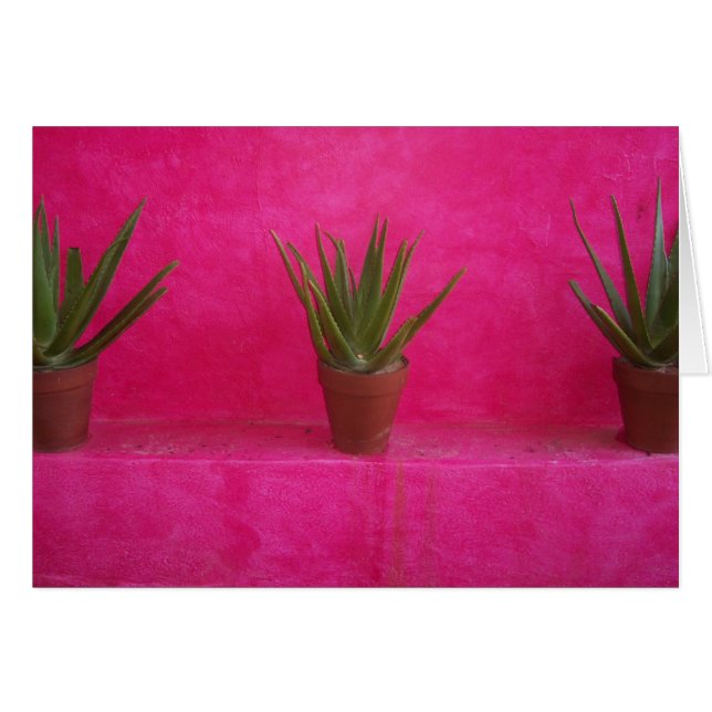 cactus (Front Horizontal)